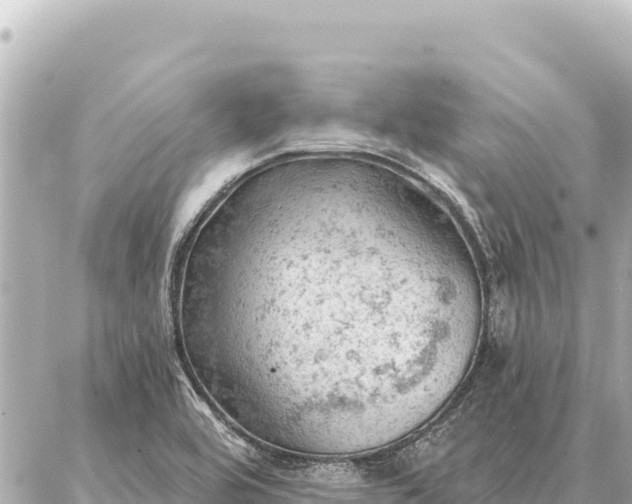 X0000086981464200704231807