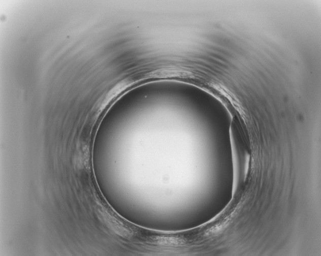 X0000086981465200704231807