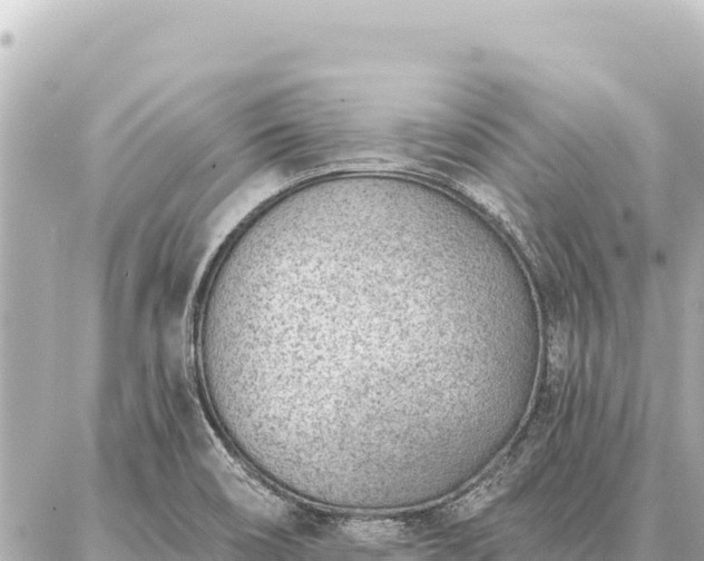 X0000086981466200704231807