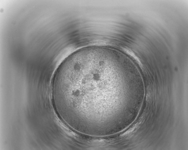 X0000086981467200704231807