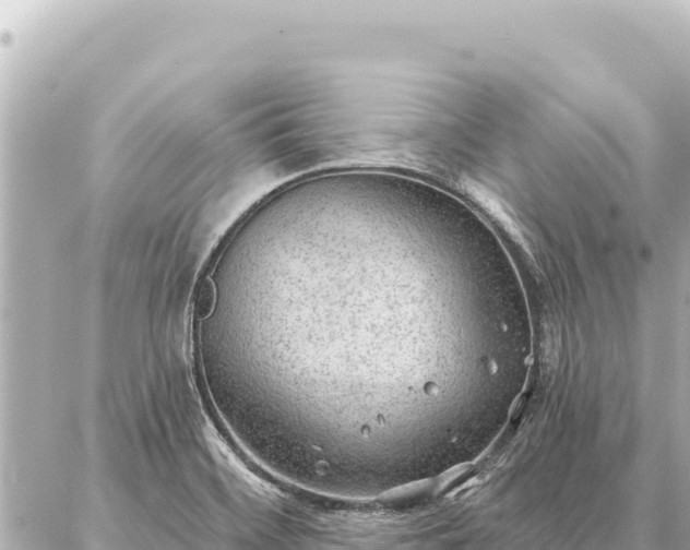 X0000086981468200704231807