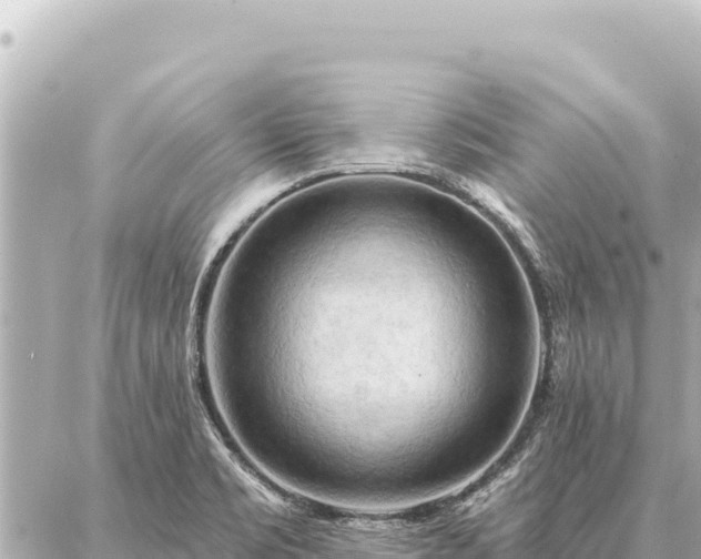 X0000086981469200704231807