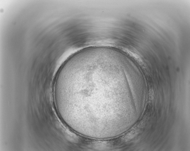 X0000086981470200704231807