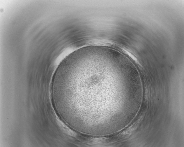 X0000086981471200704231807