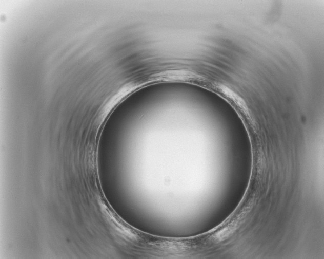 X0000086981473200704231807