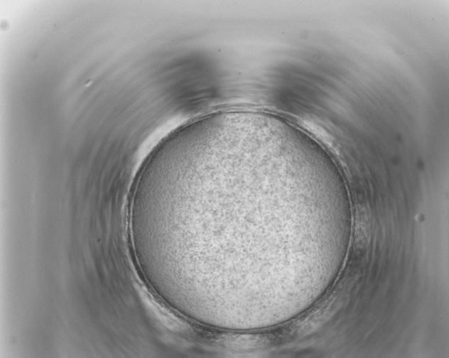 X0000086981474200704231807