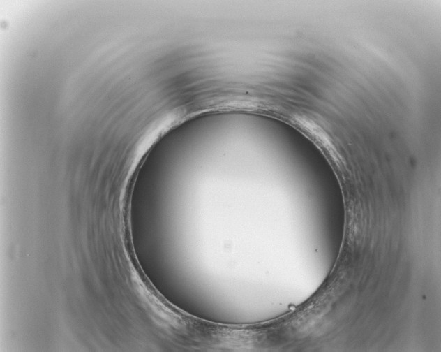 X0000086981475200704231807