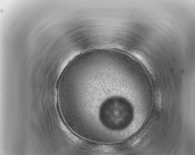 X0000086981476200704231807