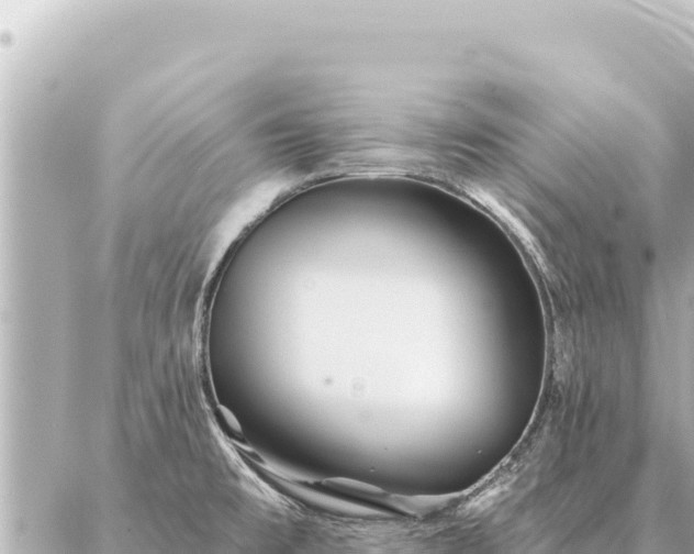 X0000086981477200704231807