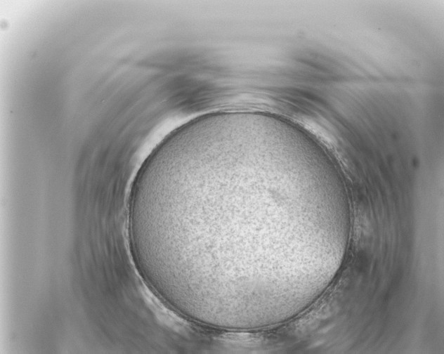 X0000086981478200704231807