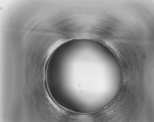 X0000086981479200704231807