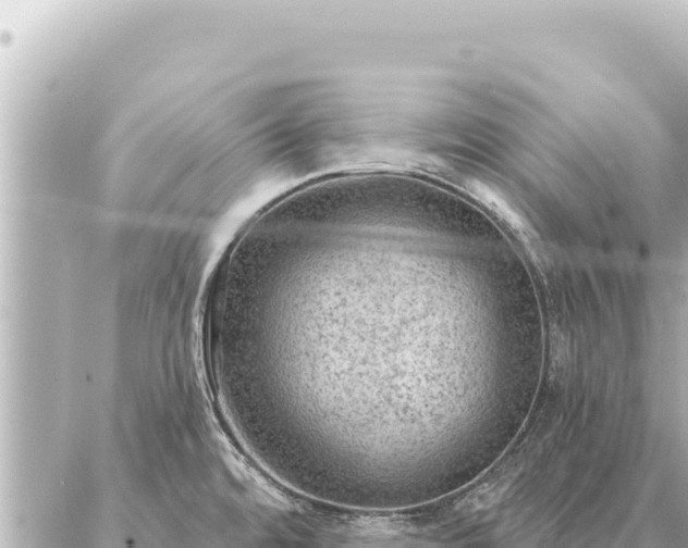 X0000086981480200704231807