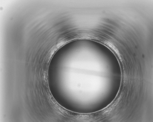 X0000086981481200704231807