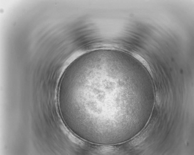 X0000086981482200704231807