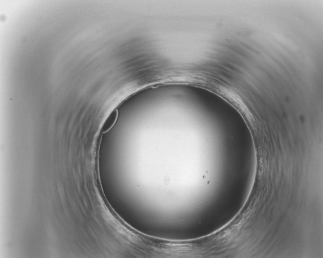 X0000086981483200704231807