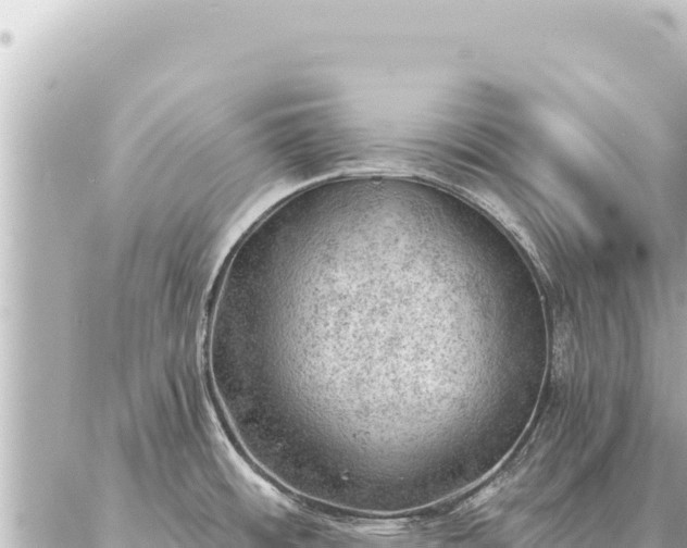 X0000086981484200704231807