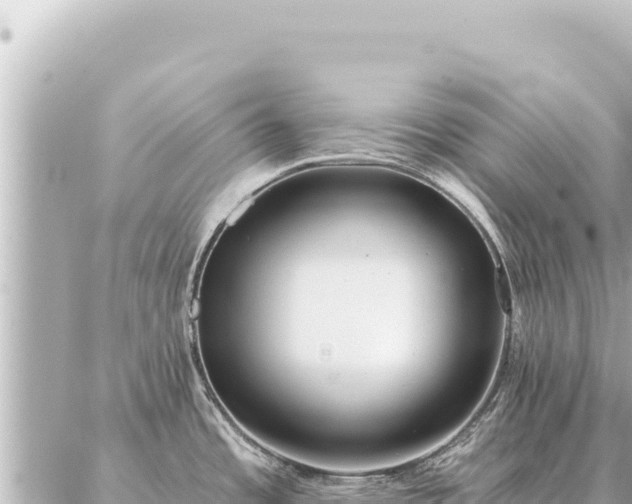 X0000086981485200704231807