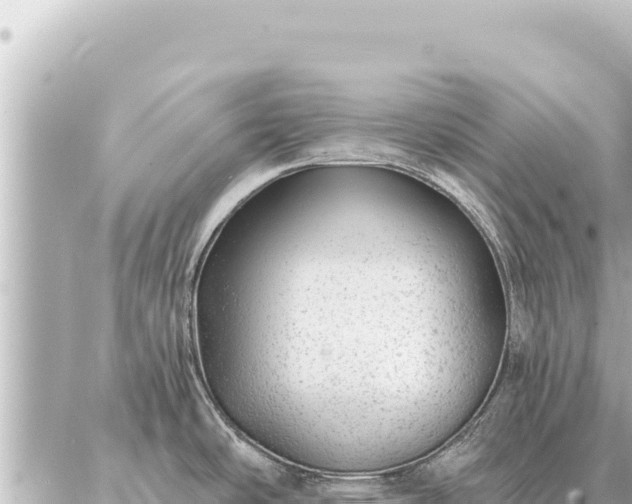 X0000086981486200704231807