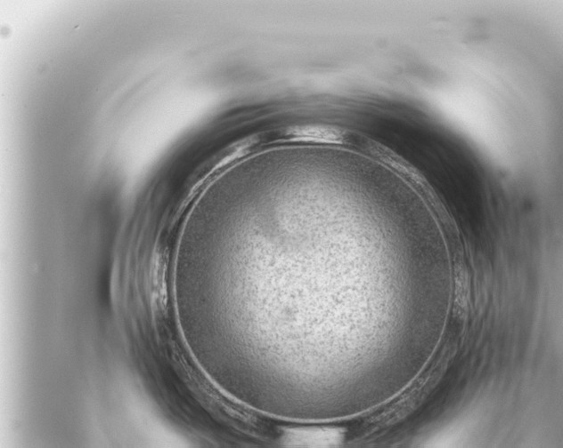 X0000086981487200704231807