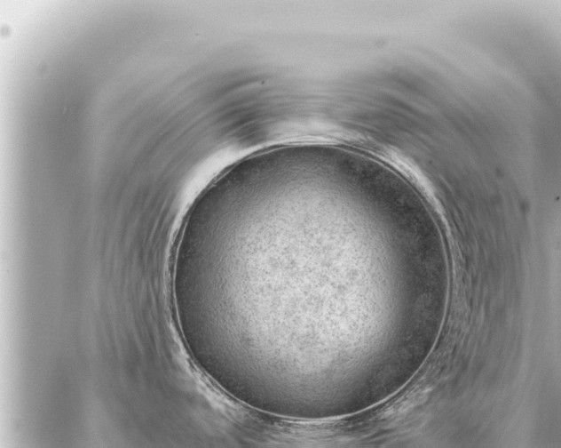 X0000086981488200704231807