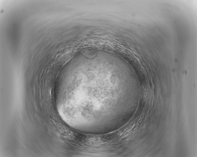 X0000086981489200704231806