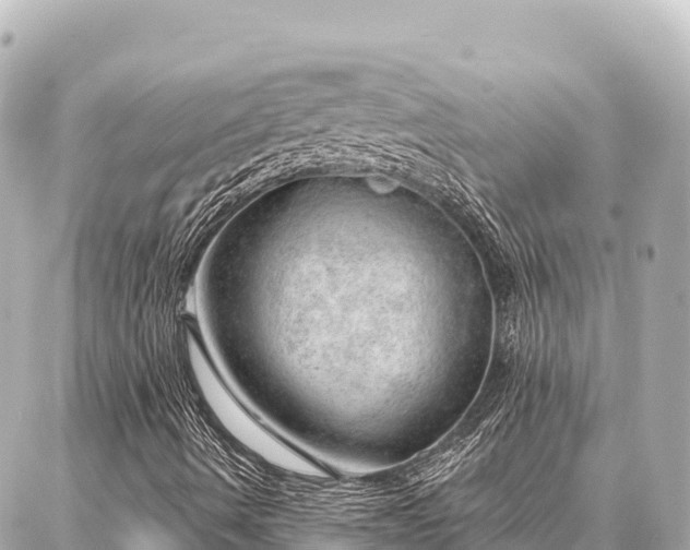 X0000086981490200704231806