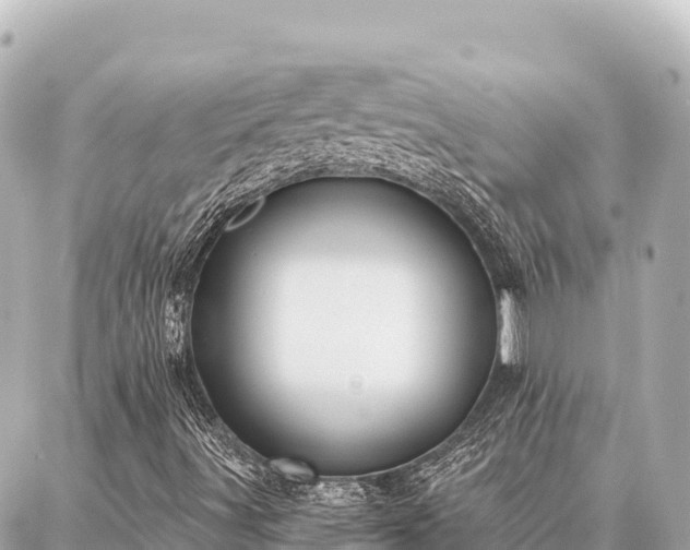 X0000086981491200704231806