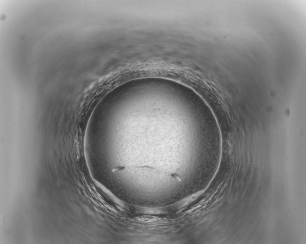 X0000086981493200704231806