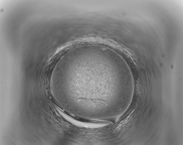 X0000086981494200704231806