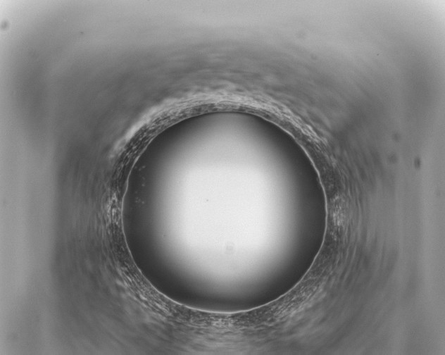 X0000086981495200704231806