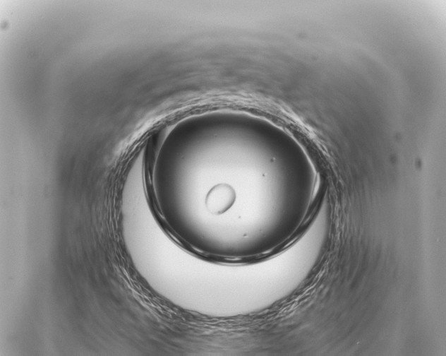 X0000086981496200704231806