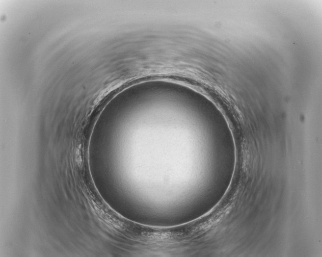 X0000086981497200704231806