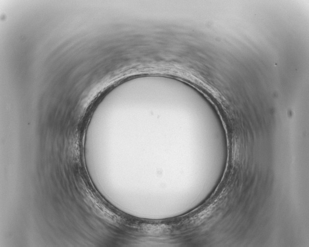 X0000086981498200704231806