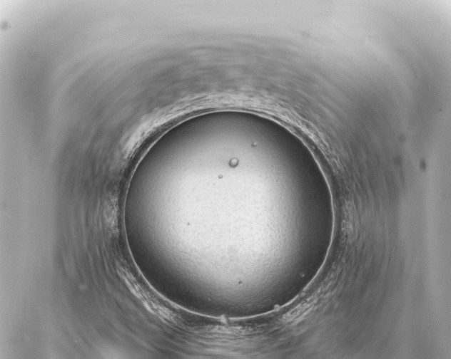 X0000086981499200704231806