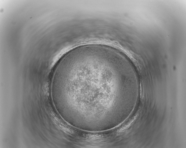 X0000086981501200704231806