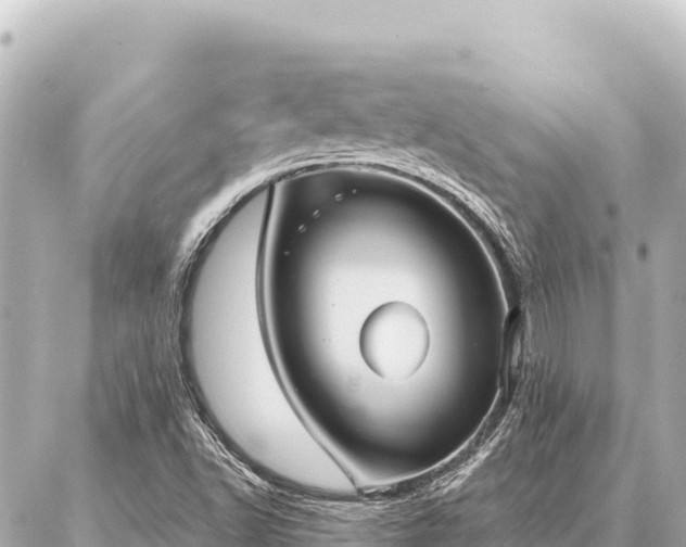 X0000086981502200704231806