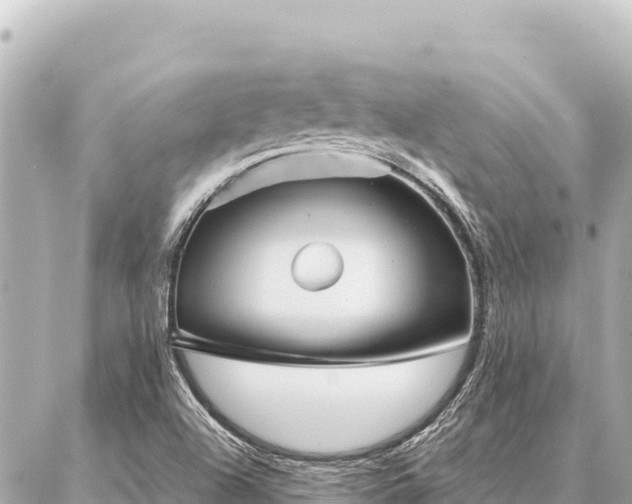 X0000086981504200704231806