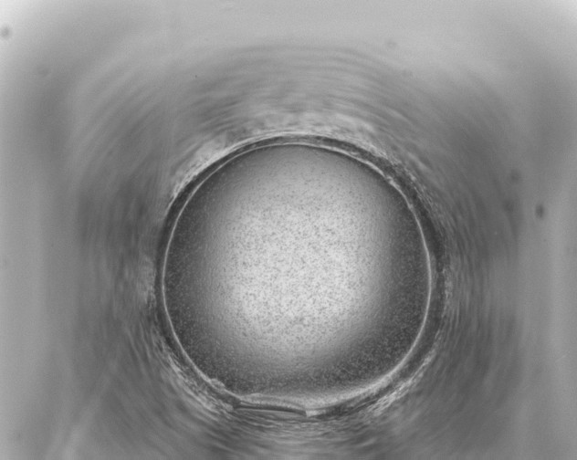 X0000086981505200704231806