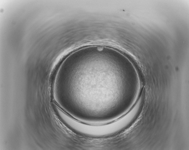 X0000086981506200704231806