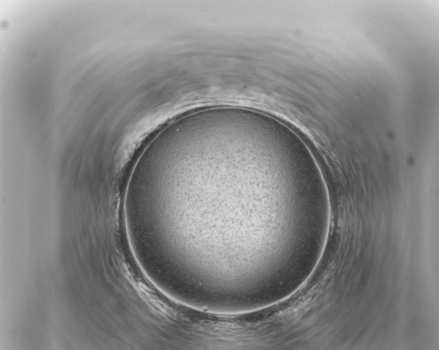 X0000086981507200704231806