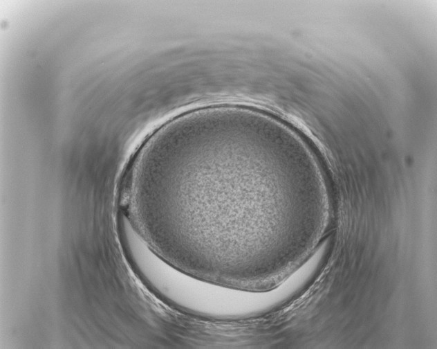 X0000086981508200704231806