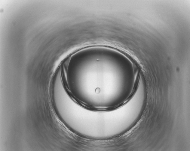 X0000086981510200704231806