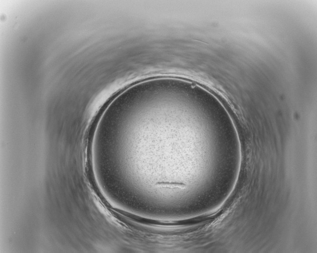 X0000086981511200704231806