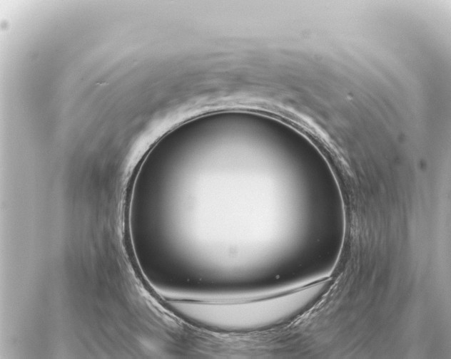 X0000086981512200704231806