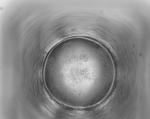 X0000086981513200704231806