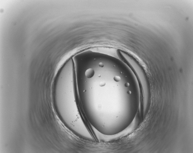 X0000086981514200704231806