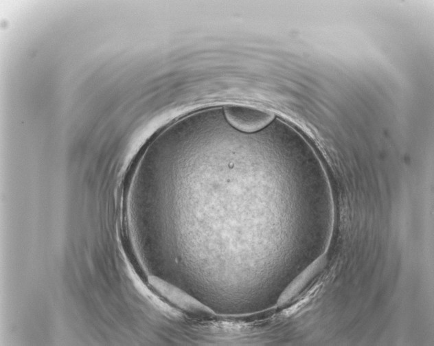 X0000086981515200704231806