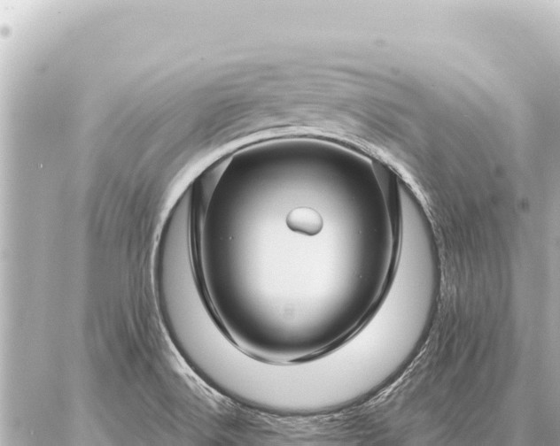 X0000086981516200704231806