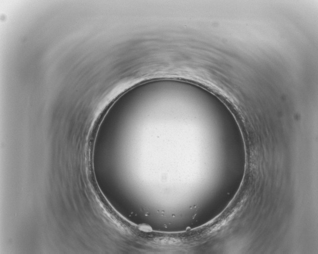 X0000086981517200704231806