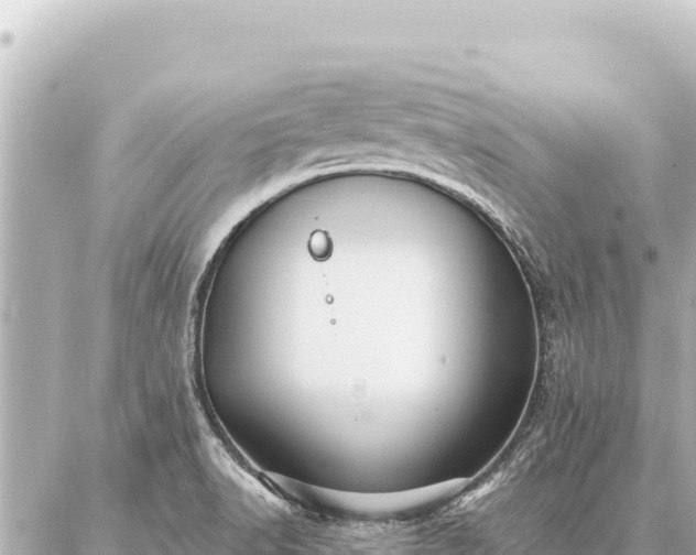 X0000086981518200704231806